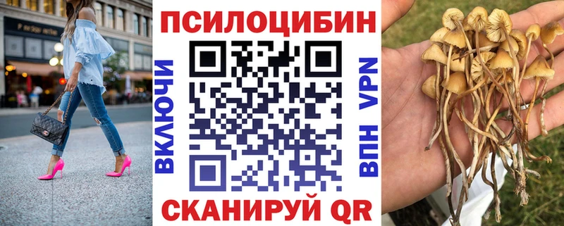 Галлюциногенные грибы GOLDEN TEACHER  Купить где  Улан-Удэ 